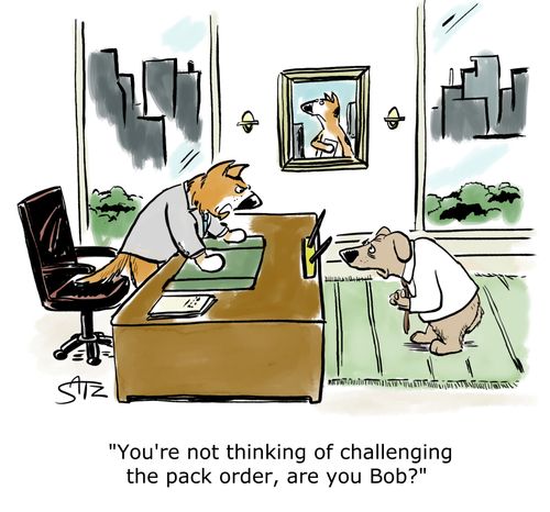 "You're not thinking of challenging the pack order, are you Bob?"