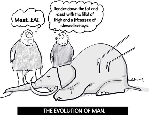The evolution of man