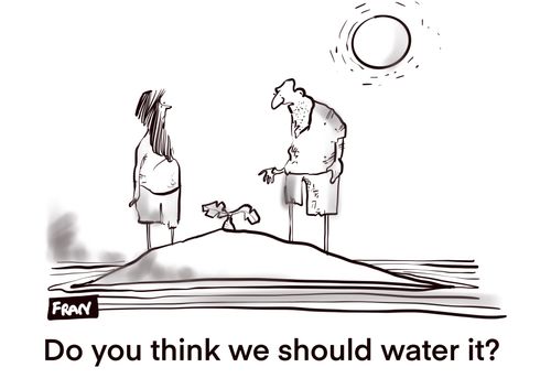 "Do you think we should water it?"