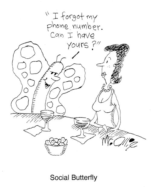 Social butterfly