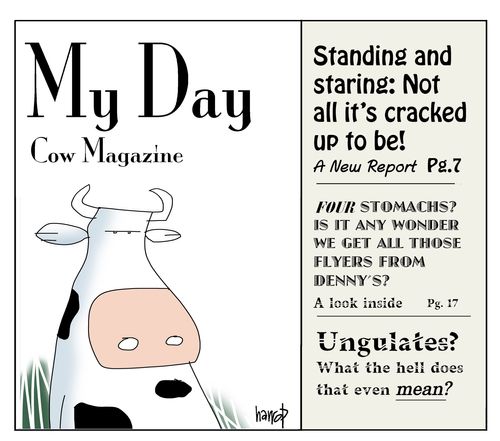 My Day - Cow Magazine