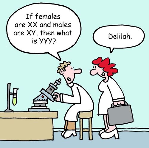"If females are XX and males are XY, then what is YYY?"