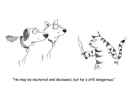 "He may be neutered and declawed, but he's still dangerous."
