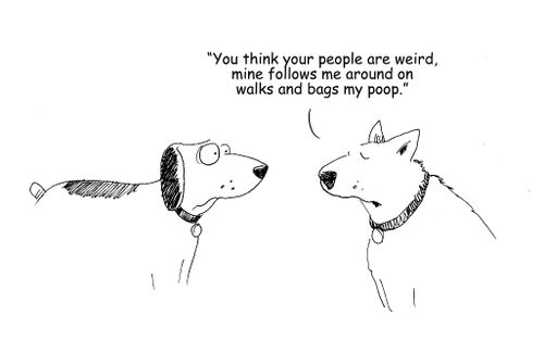 "You think your people are weird, mine follows me around on walks and bags my poop."