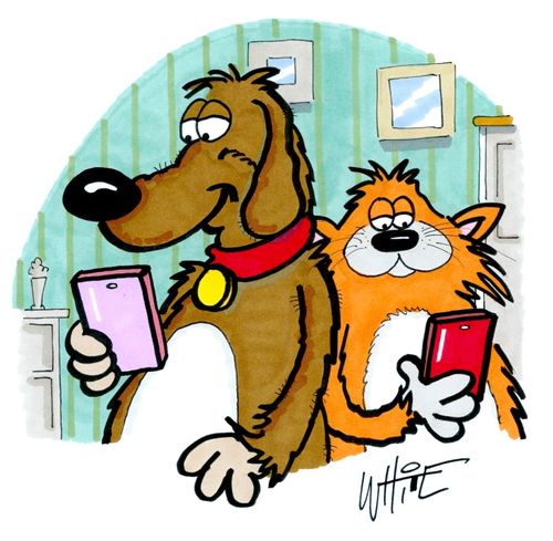 Cat and Dog addicted to screens
