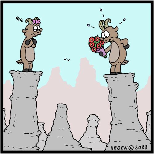 Goat Romance