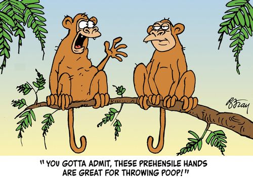 "You gotta admit, these prehensive hands are great for throwing poop!" 