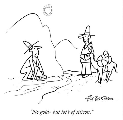 "No gold - but lot's of silicon."