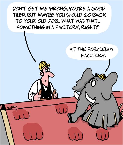  "Don't get me wrong, you're a good tiler but maybe you should go back to your old job..."
