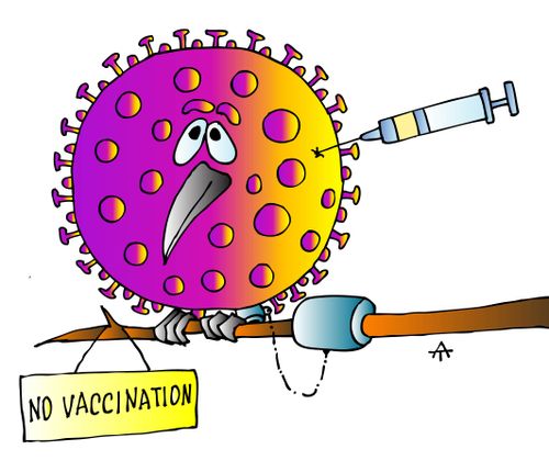 No Vaccination