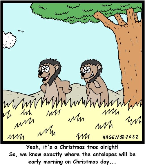 "Yeah, it's a Christmas tree alright! So, we know exactly where the antelopes will be early morning on Christmas day..."
