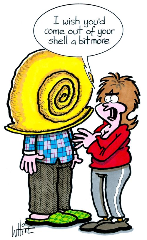 "I wish you'd come out of your shell a bit more."