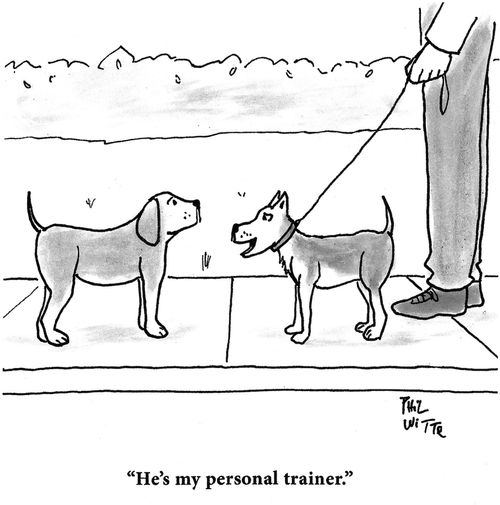 "He's my personal trainer."
