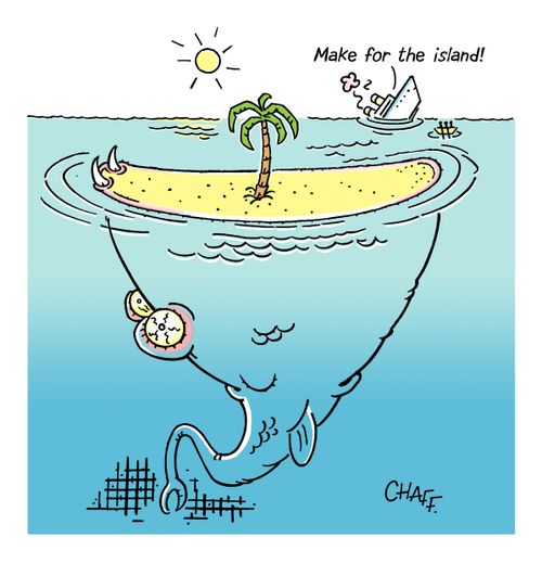 Make for the island!