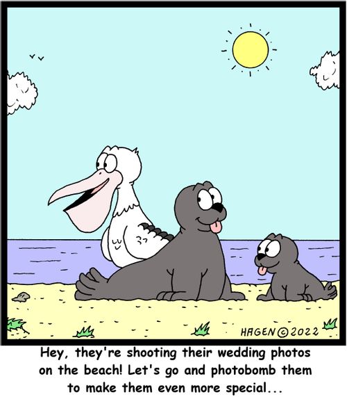 "Hey, they're shooting their wedding photos on the beach! Let's go and photobomb them to make them even more special..."