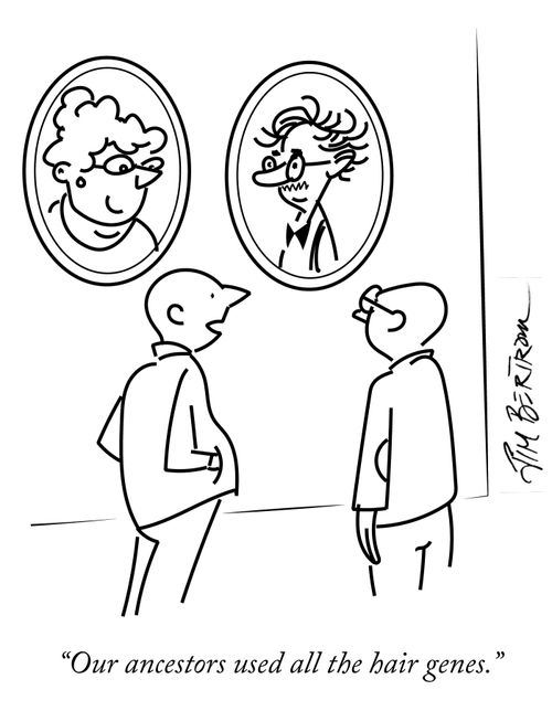 "Our ancestors used all the hair genes."