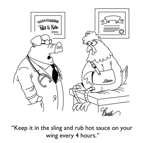 "Keep it in the sling and rub hot sauce on our wing every 4 hours."
