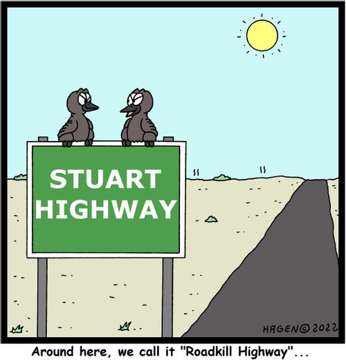 "Around here, we call it 'Roadkill Highway'. . ."