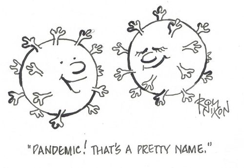 "Pandemic! That's a pretty name."