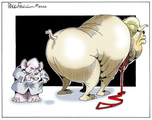 Republican Dog Walker
