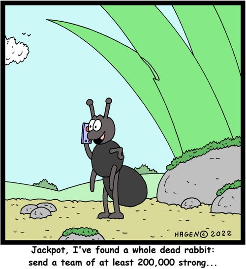 "Jackpot, I've found a whole dead rabbit: send a team of a t least 200,000 strong..."