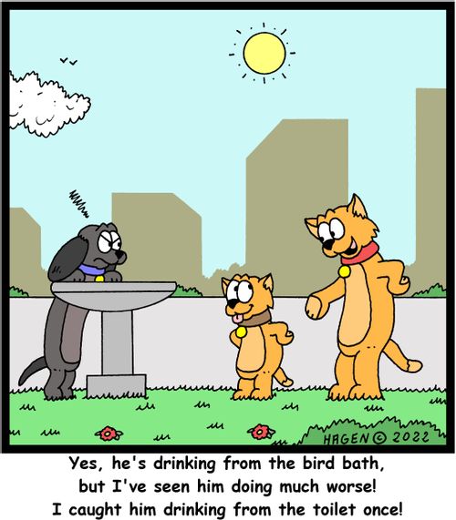 "Yes, he's drinking from the bird bath, but I've seen him doing much worse! I caught him drinking from the toilet once!"