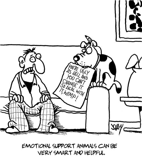 Emotional Support Animals Can Be Very Smart and Helpful.