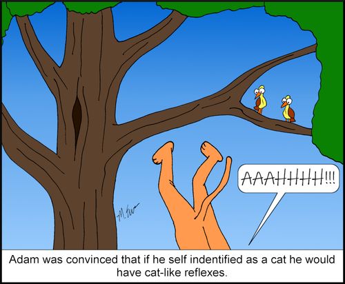 Adam was convinced that if he self identified as a cat he would have cat-like reflexes.