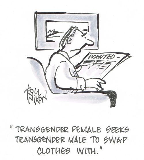 "Transgender female seeks transgender male to swap clothes with."