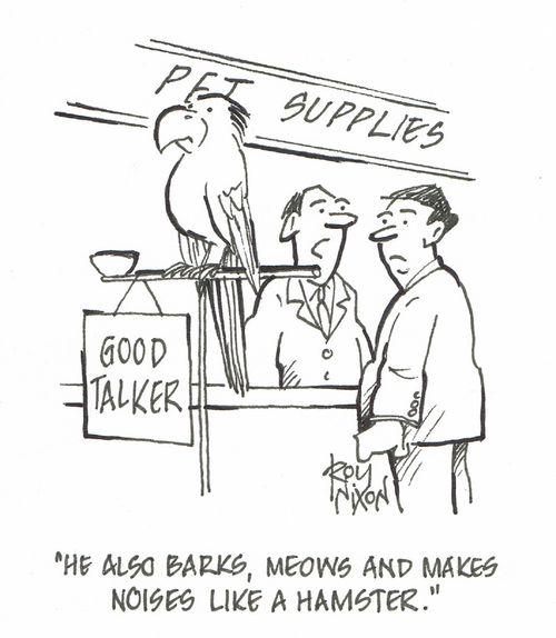 "He also barks, meows and makes noises like a hamster."