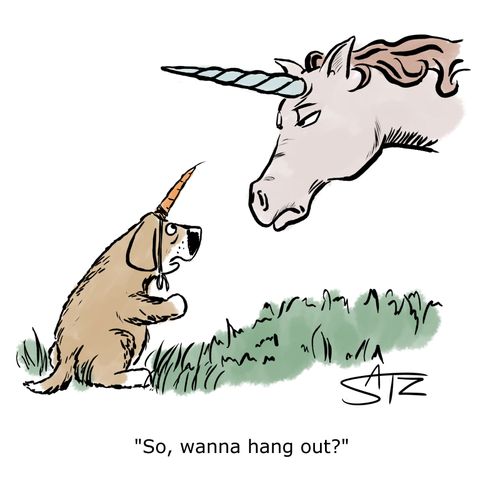 "So, wanna hang out unicorn."