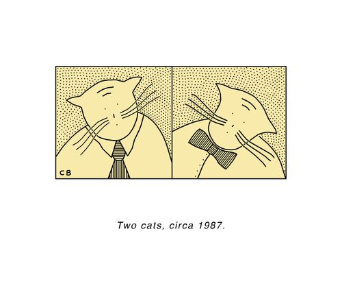 Two cats, cica 1987