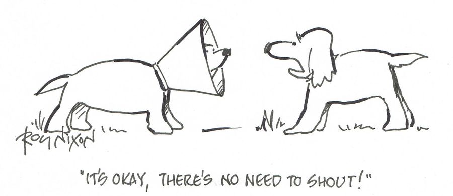 "It's okay, there's no need to shout!"
