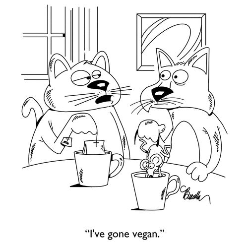 "I've gone vegan."
