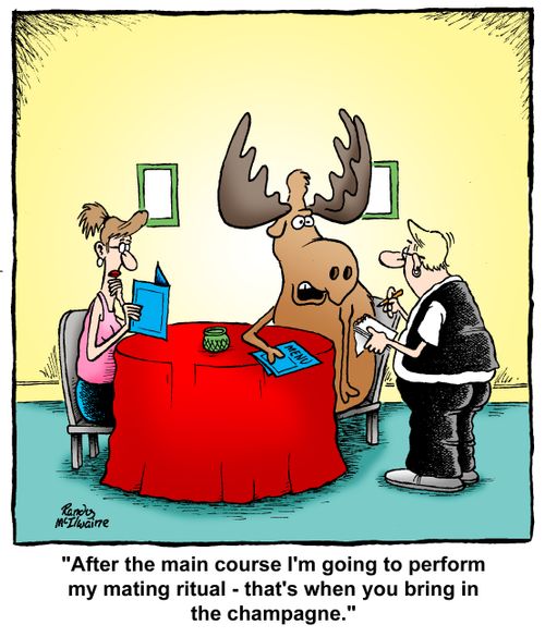 "After the main course I'm going to perform my mating ritual - that's when you bring in the champagne."