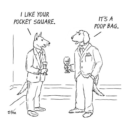 "I like your pocket square."