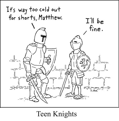 Teen Knights