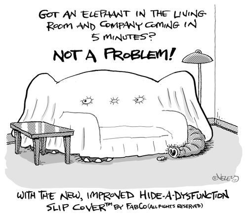 The new, improved "Hide-A-Dysfunction" Slip Cover