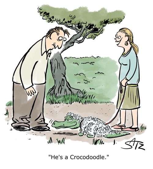 "He's a Crocodoodle."