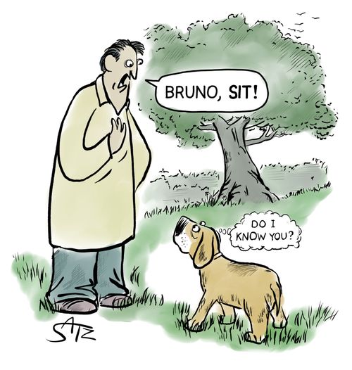 "Bruno, sit."