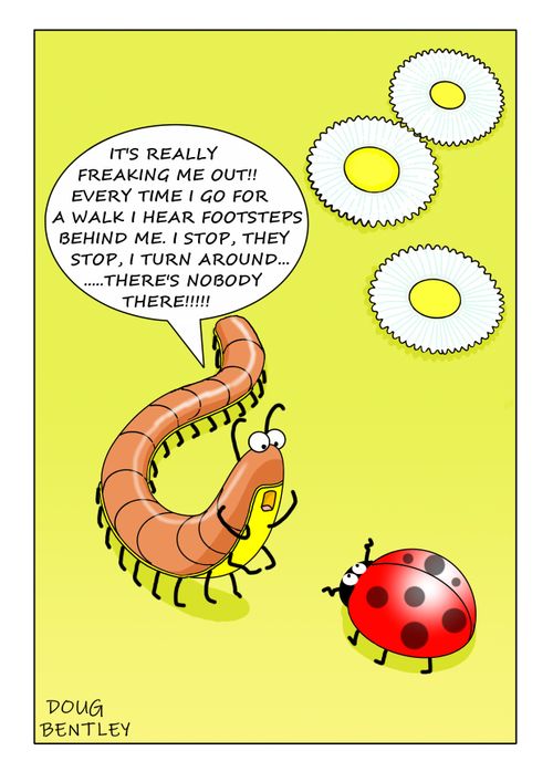 "It's really freaking me out!! Every time I go for a walk I hear footsteps behind me. I stop, they stop, I turn around..."
