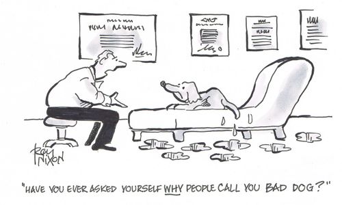 "Have you ever asked yourself why people call you bad dog?"