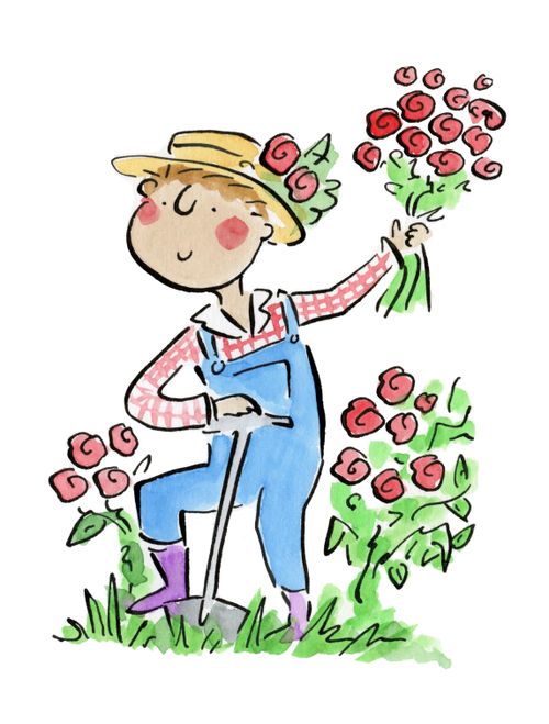Rose Garden