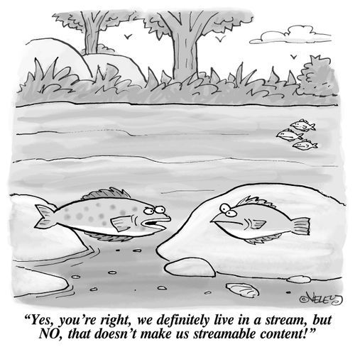 "Yes, you're right, we definitely live in a stream, but NO, that doesn't make us streamable content!"