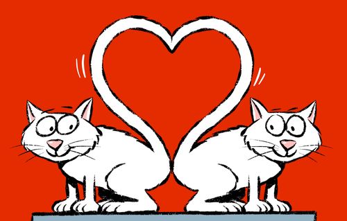 Two cats making a heart shape with their tails