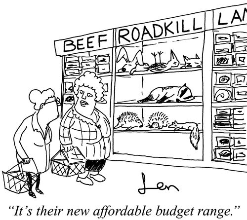 "It's the new affordable budget range."
