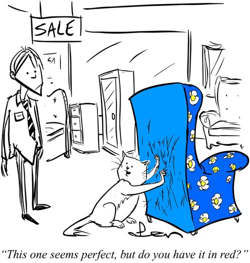 "This one seems perfect, but do you have it in red?"