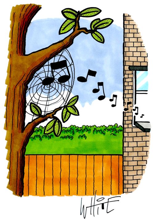 Musical Web