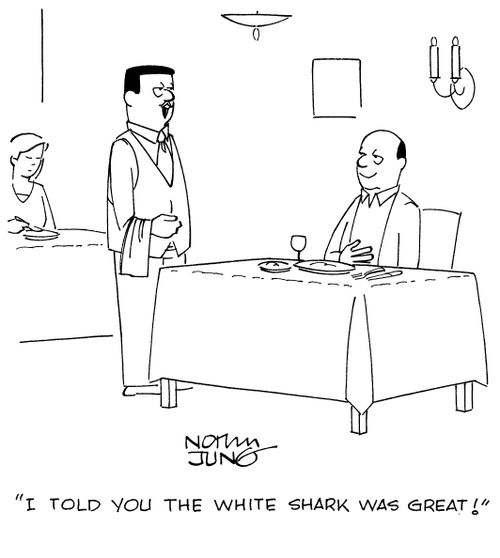 "I told you the white shark was great!"