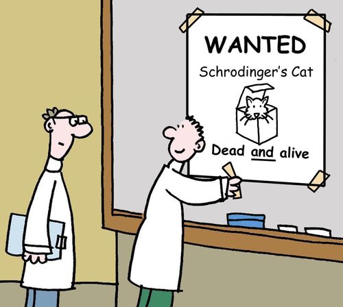 Wanted: Schrodinger's cat